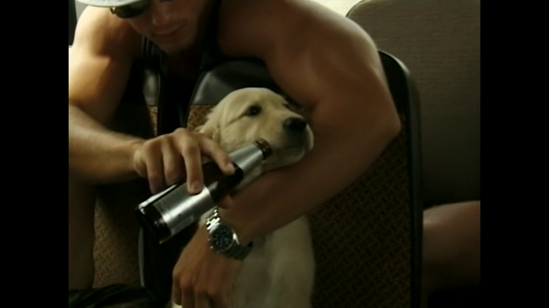 文件:A Wank In The Woods.mp4 snapshot 00.02.32.png